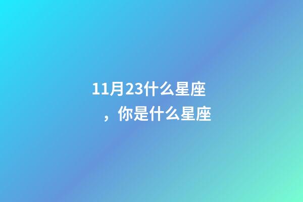 11月23什么星座，你是什么星座-第1張-觀點-玄機派